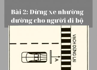 Bài 2: Dừng xe nhường đường cho người đi bộ